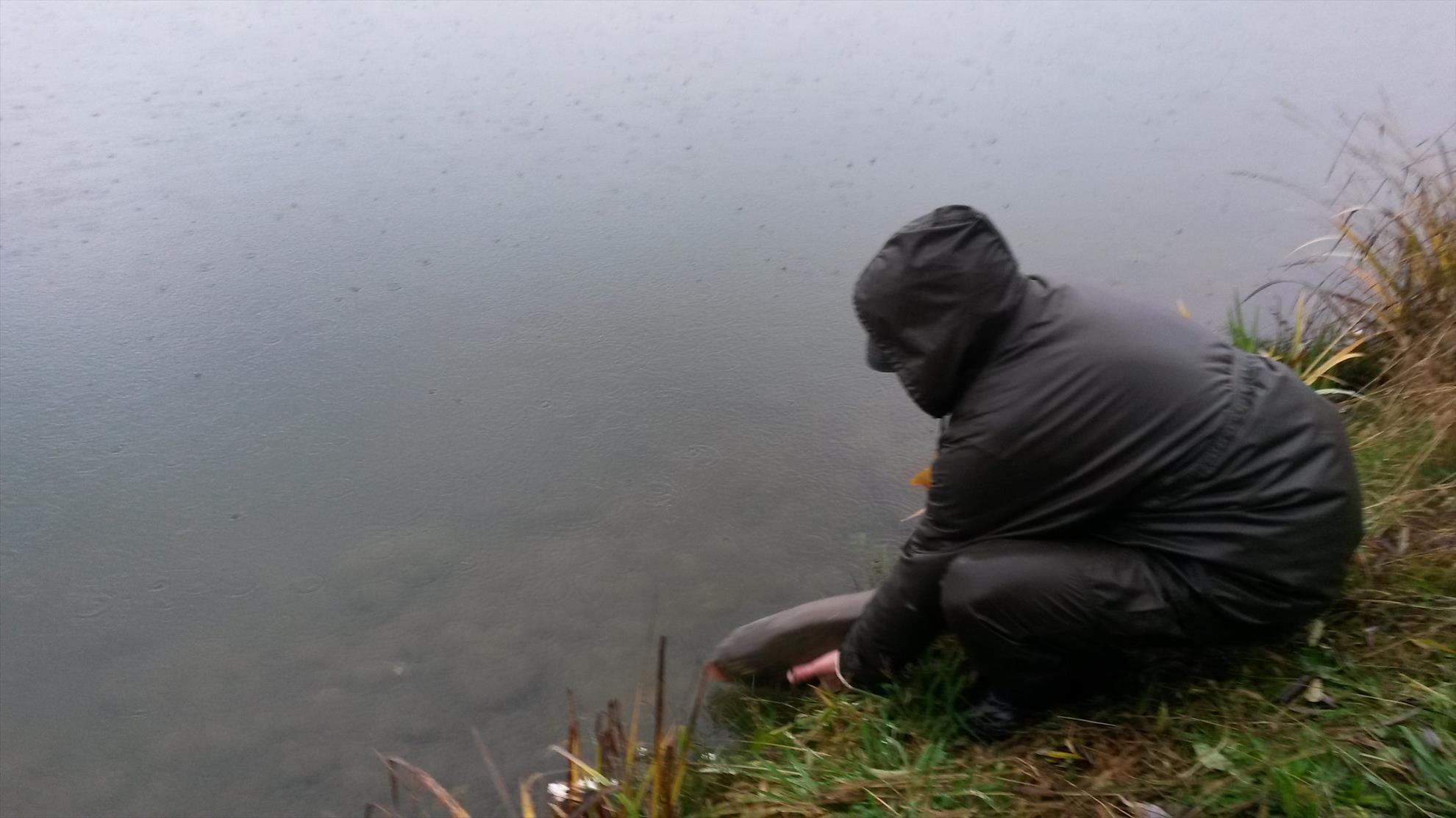 ISOLA DEL PESCATORE 1 decembrie 2014 - 20141201102633.jpg